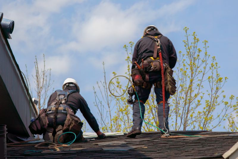 Professional Roofing Team